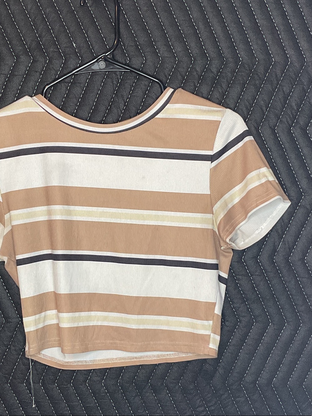 Striped Short-Sleeve Crop Top in Beige and White
